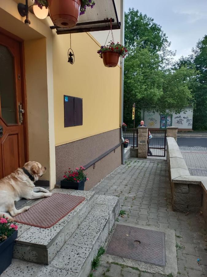 Msprivat Hotell Karlovy Vary Eksteriør bilde